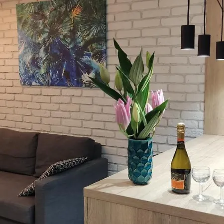 Be My Guest- Fontany Luxury Metro Wi-fi Free Parking Zone وارسو