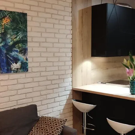 Be My Guest- Fontany Luxury Metro Wi-fi Free Parking Zone Apartment